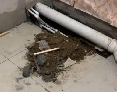 宁乡卫生间漏水检测哪家好