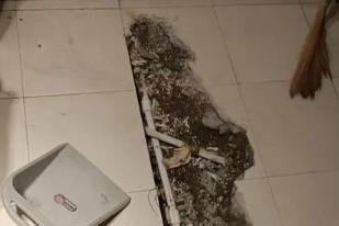 宁乡卫生间漏水检测电话